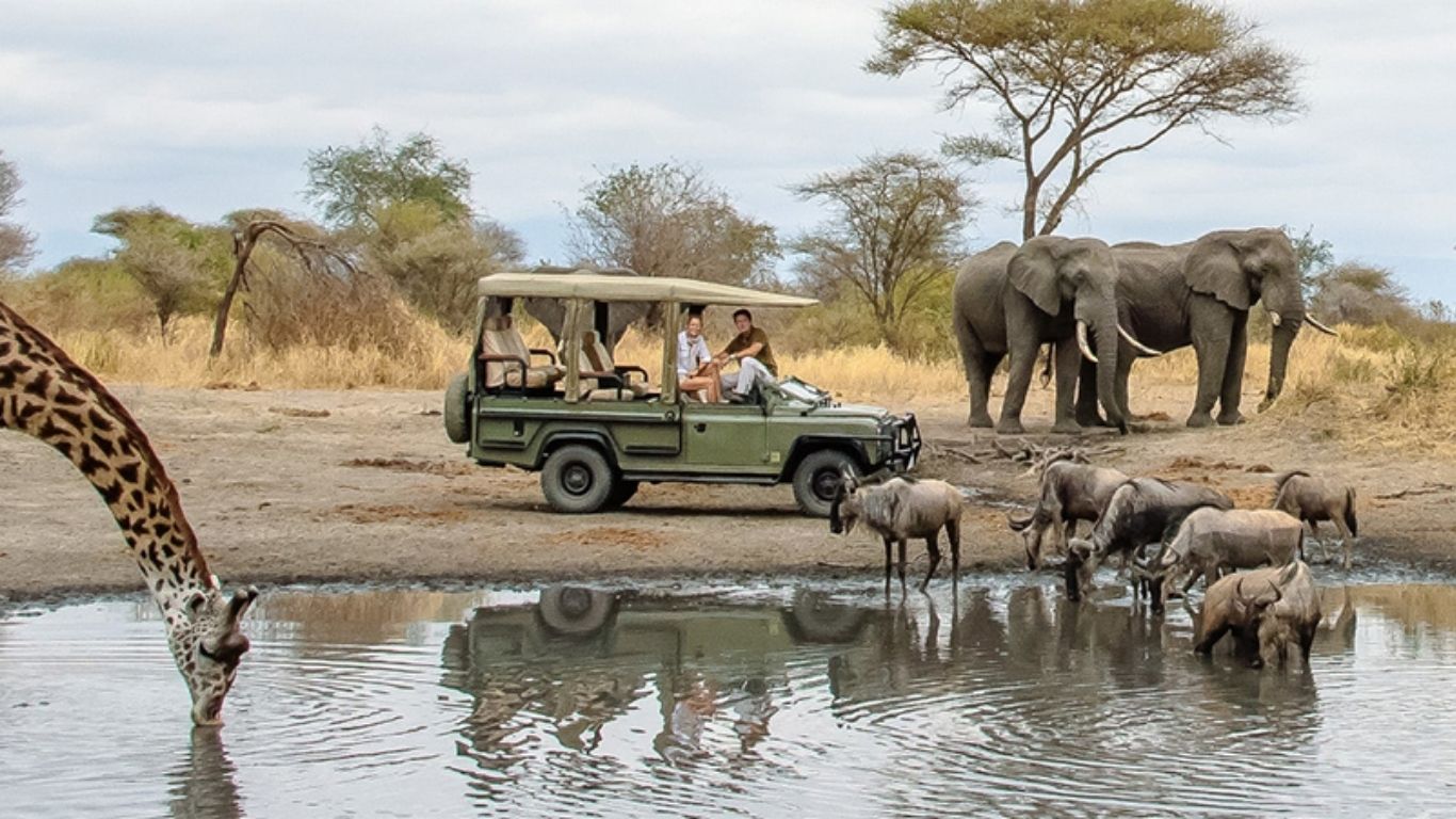 Kenya & Tanzania Safari – Maasai Mara to Serengeti & Beyond